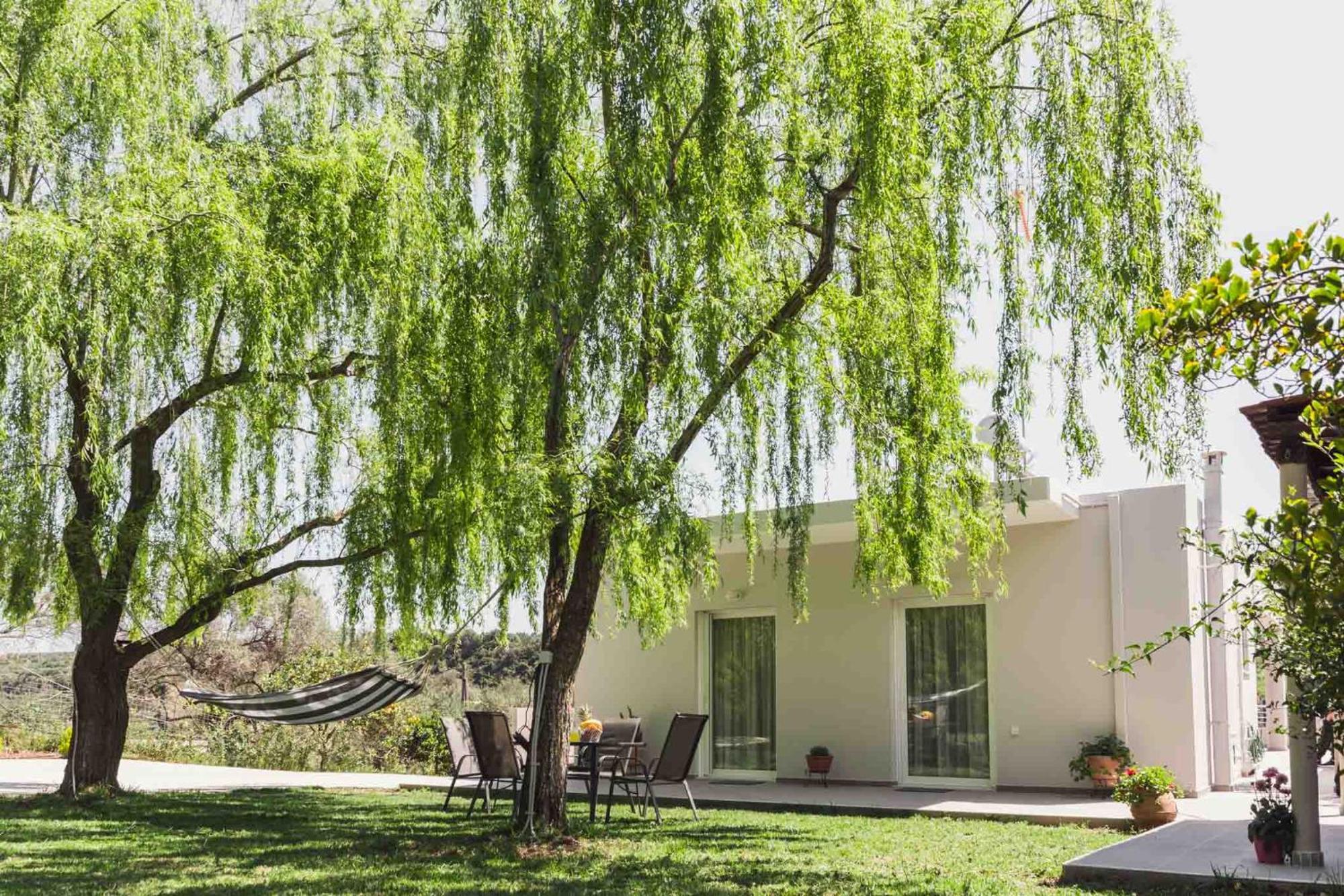 Liofyto House Private Garden Διαμέρισμα Platanés Εξωτερικό φωτογραφία